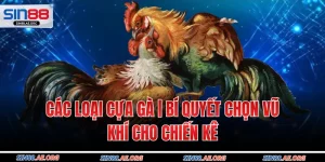 Các Loại Cựa Gà | Bí Quyết Chọn Vũ Khí Cho Chiến Kê