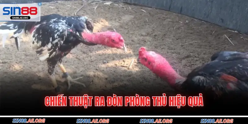 Chiến thuật ra đòn phòng thủ hiệu quả