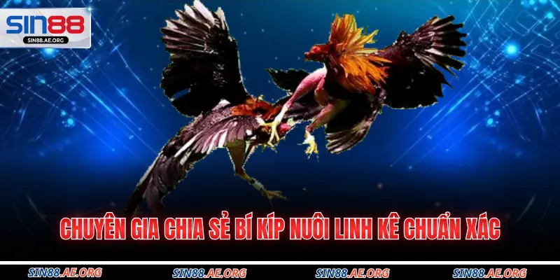 Chuyên gia chia sẻ bí kíp nuôi linh kê chuẩn xác