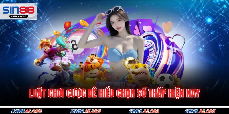 Luật chơi cược dễ hiểu chọn số thấp hiện nay